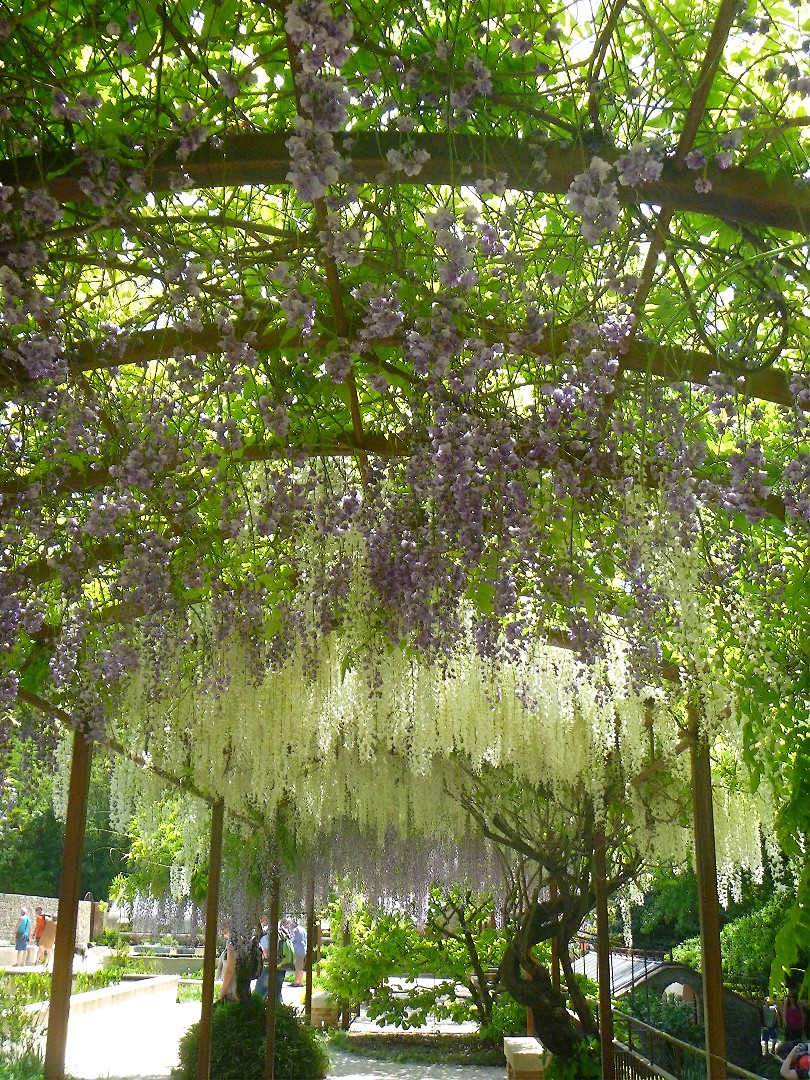 HABLEMOS DE JARDINES