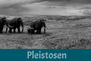pleistosen pleistosen