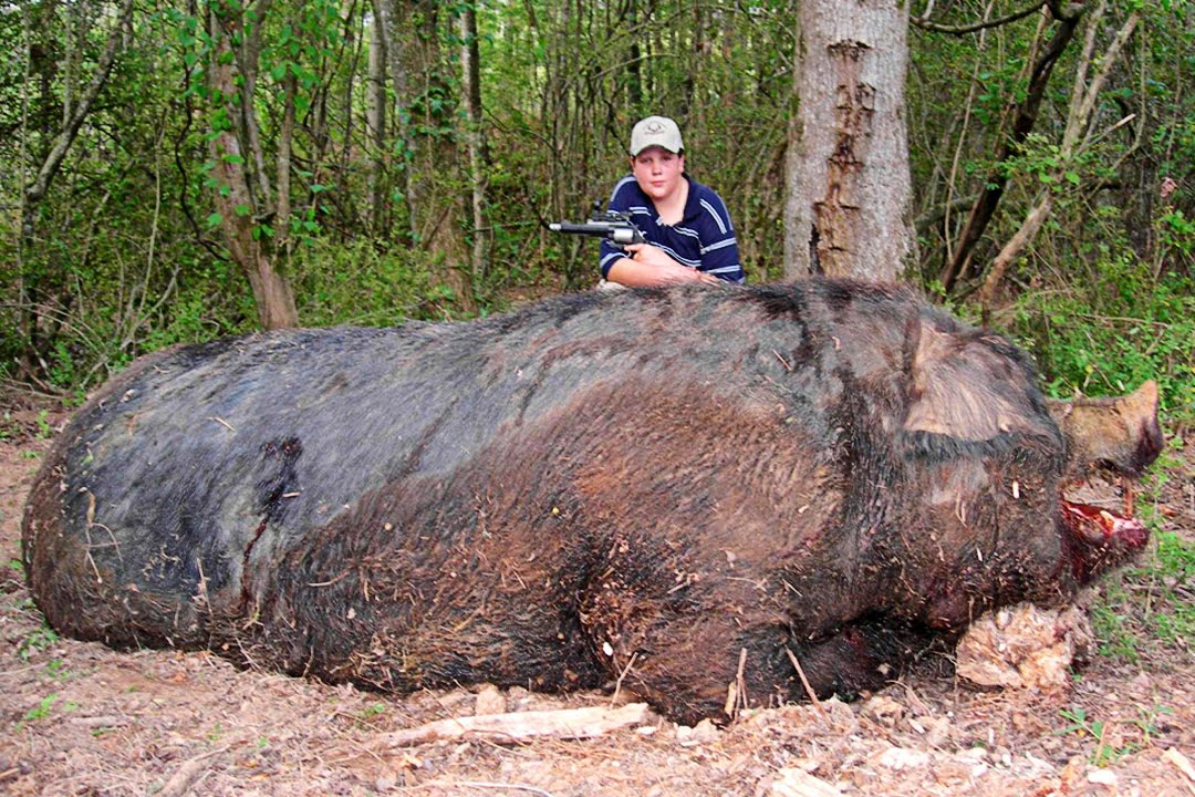 Black Cat Hunt Griffin Ga Black Cat Hunt Griffin Ga