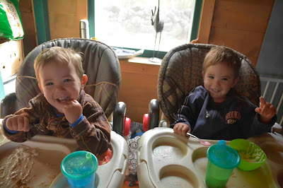 Twins%2B%25C2%25A9Tom%2BMcLaughlin%2B2014.jpg