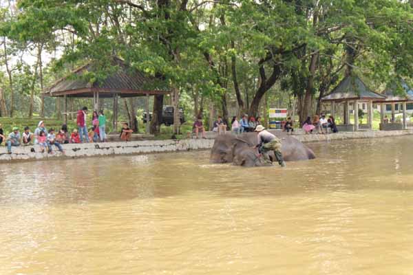 Taman Nasional Way Kambas Taman Nasional Way Kambas