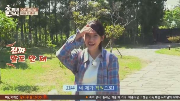 [효리네민박] 아이유의 등장에 사고회로에 문제가 온 남자들.jpg | 인스티즈