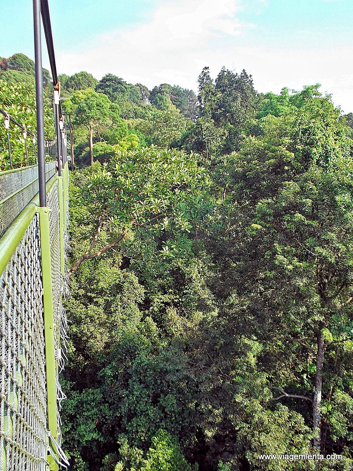 Dias 185 a 189 da viagem: o fantástico capitalismo de Cingapura A viagem à Cingapura: capitalismo e liberdade econômica a serviço das pessoas. Visitas à Marina Bay, arborismo, Fort Canning e o fantástico Jardim Botânico.