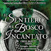 Video-recensione per "Il sentiero del bosco incantato" di Rosamund Hodge
