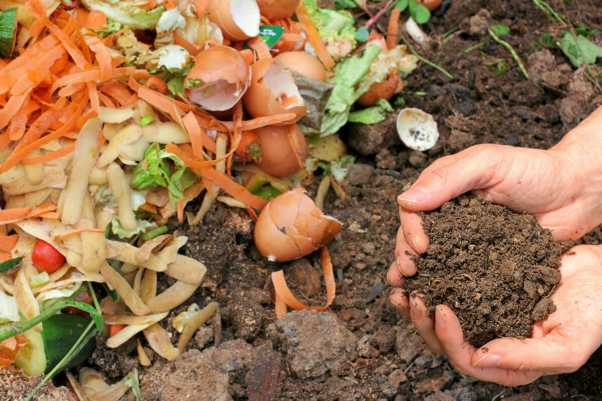 Why Is Composting Important?