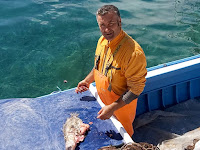 Naše bolske priče Bol slike otok Brač Online Naše bolske priče Bol slike otok Brač Online
