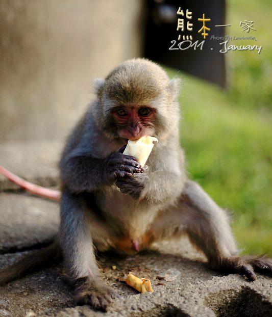 谷泉咖啡莊園