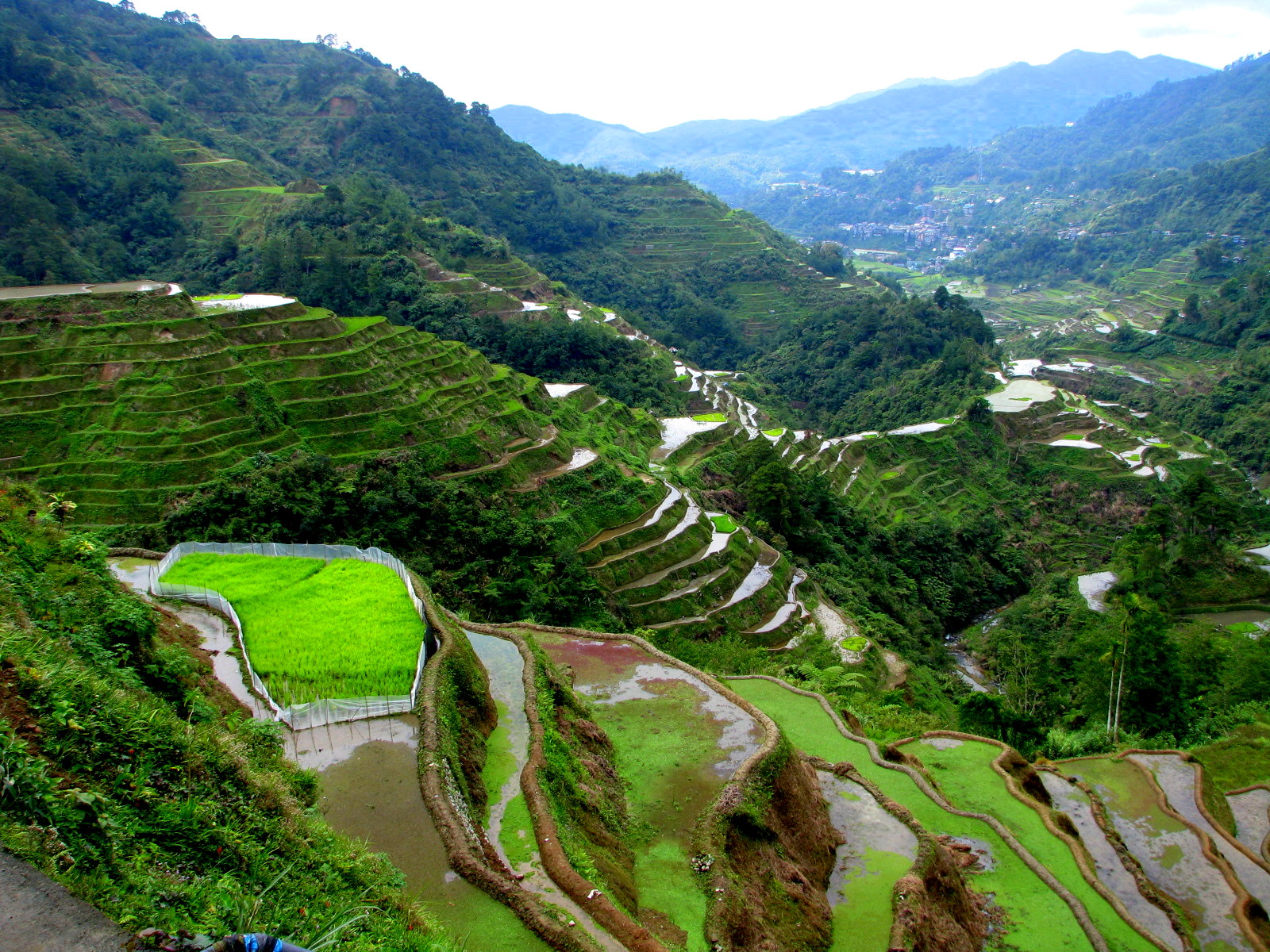 Countries In Asian With The Most Natural Beauty Countries In Asian With The Most Natural Beauty