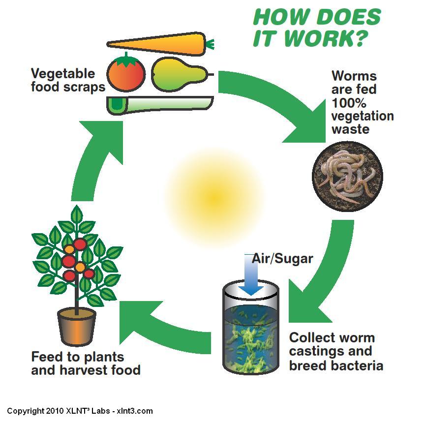 Horticulture Composting