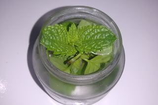 Dicas para uma geladeira cheirosa Geladeira sem mal odor