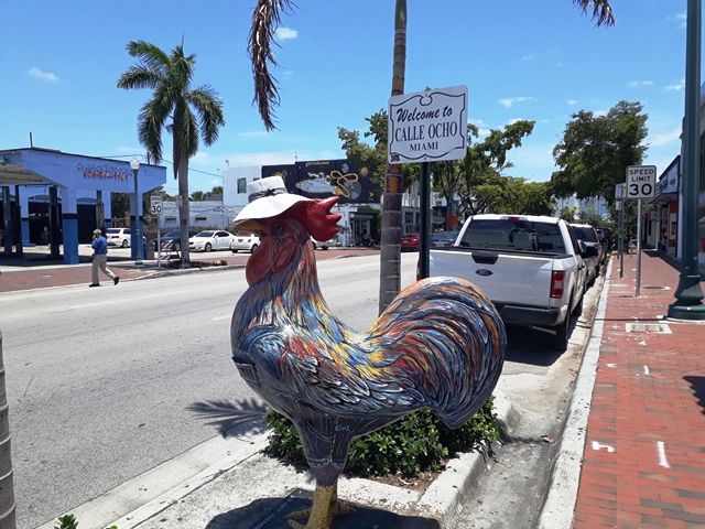 20180515_134719.jpg?width=300