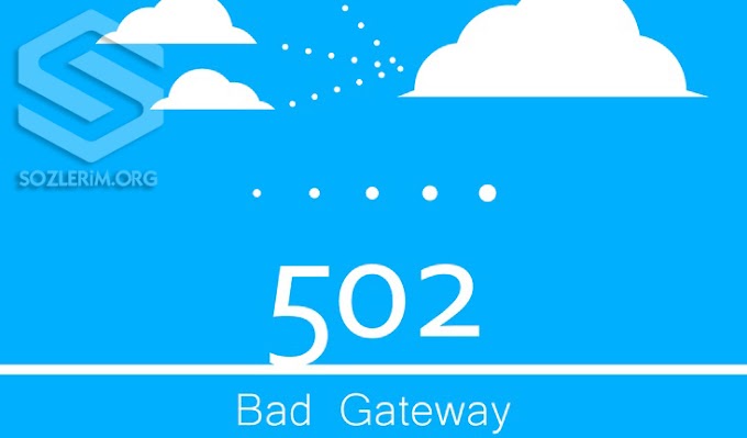 502 Bad Gateway Hatası Nedir?