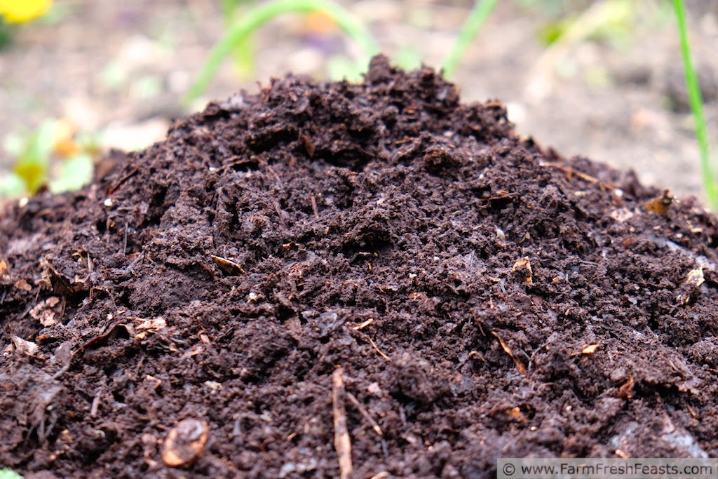 Image of Tea bag compost for mulching