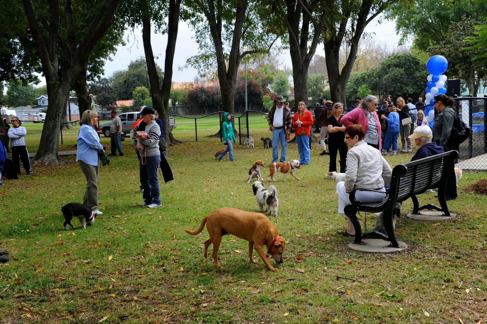 Pepper Spray Mace Tasers Stun Guns Personal Alarms Batons