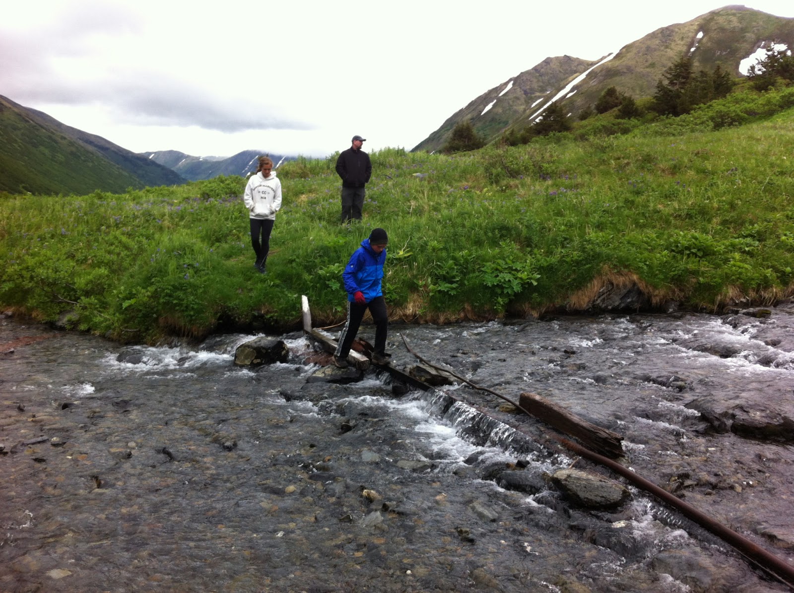 Life in Alaska — A View From Homer Palmer Creek Road Old Mine and