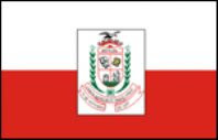 Bandeira de Irituia