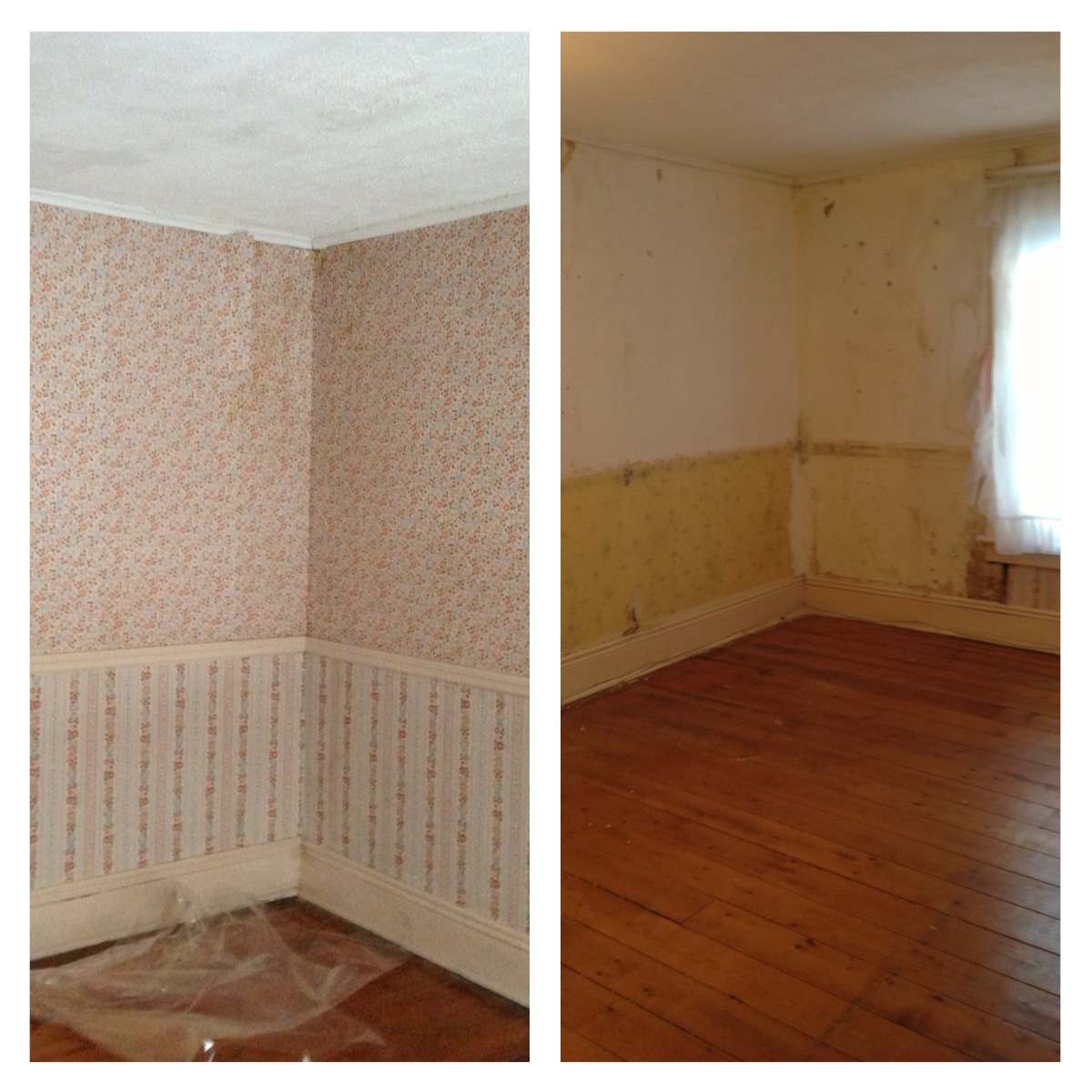 Best Bet Design Blog How to Remove Stubborn, Stuckon Wallpaper from