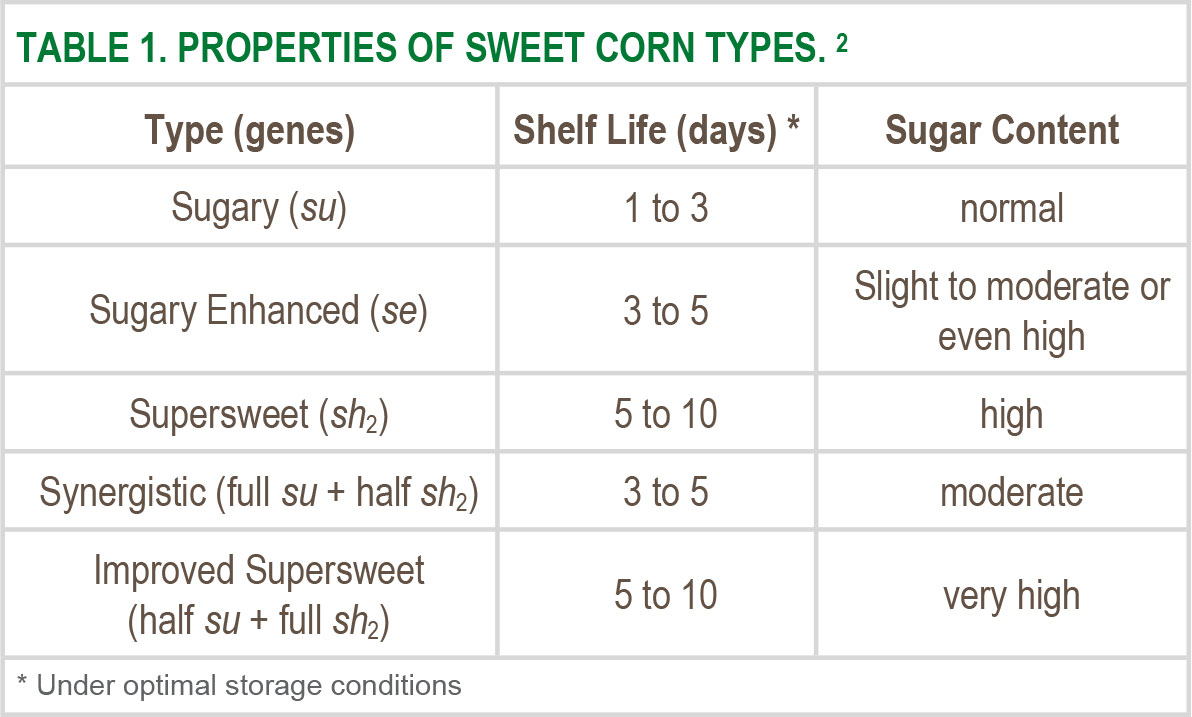 Sweet Corn Chart