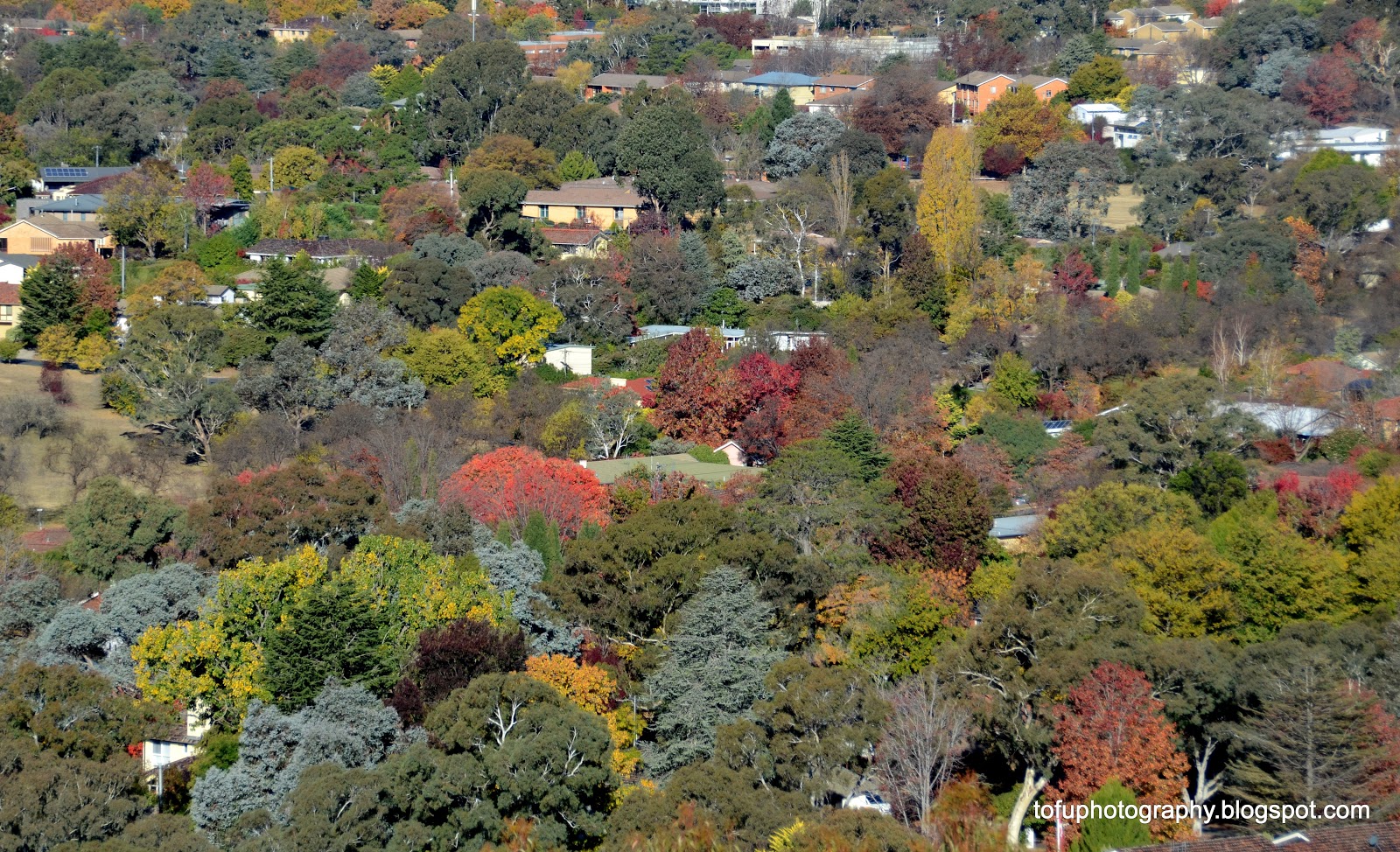 Tofu Photography Narrabunda seen from Red Hill, Canberra
