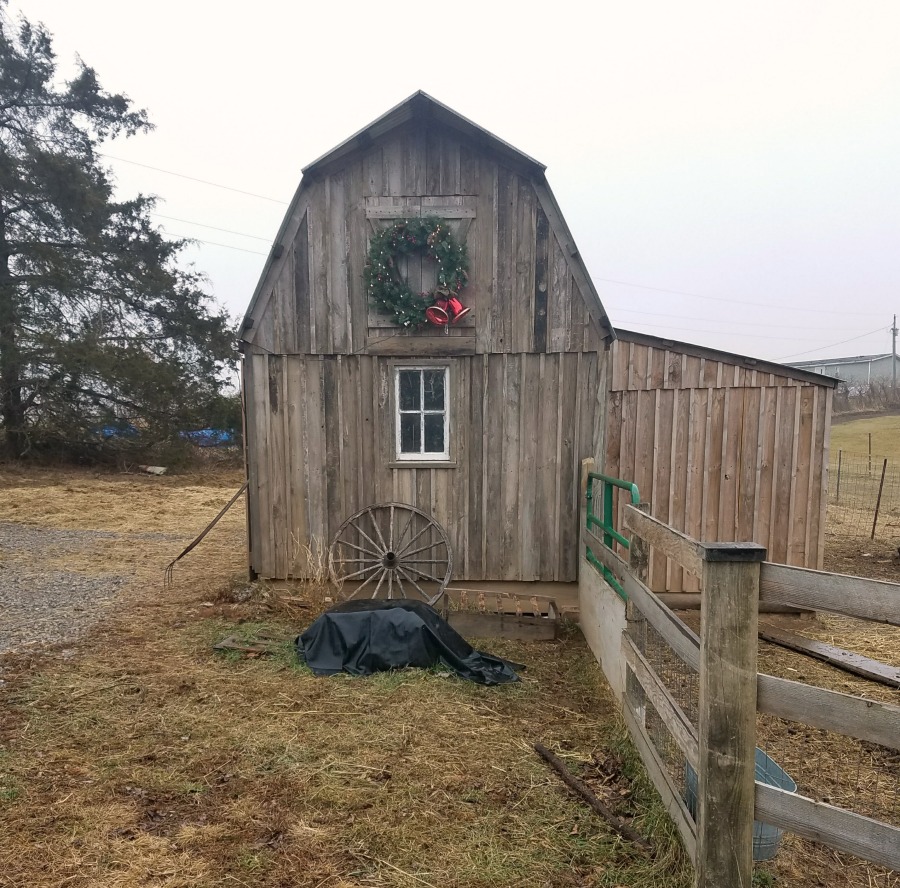 Cooking With Carlee A Visit To Ol Mcgrandpa S Farm