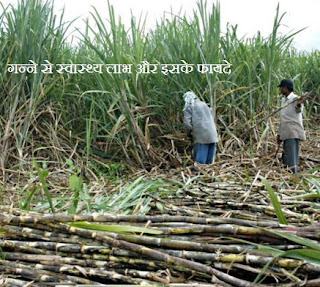 गन्ने से स्वास्थ्य लाभ , Health Benefits of Sugar Cane 