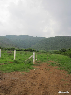 Al fondo, unión de los arroyos Hondo y Mante respectivamente - Cerro Viejo