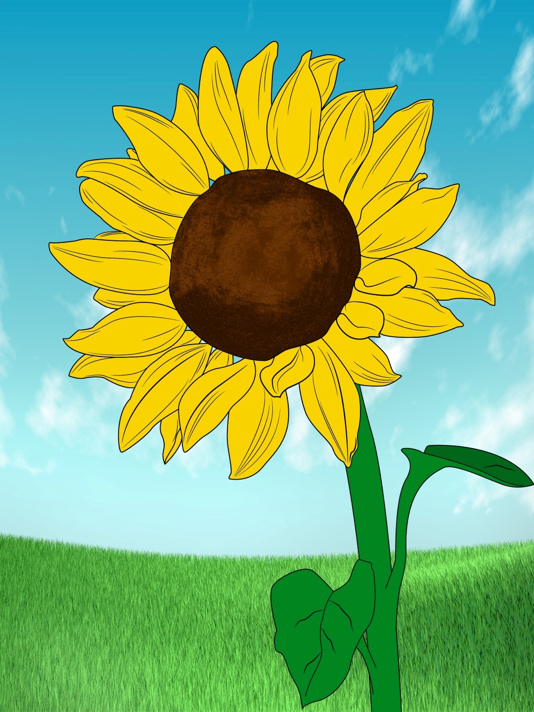 How To Draw A Sunflower Draw Central
