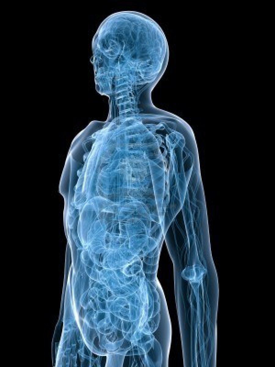 Fools Rush In: June 2013