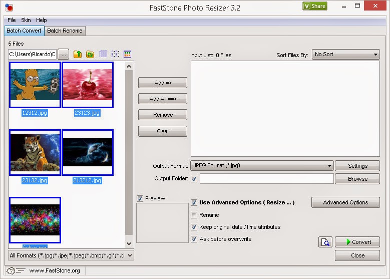 Faststone org. FASTSTONE photo Resizer.