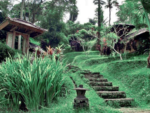 Outdoor Hot Water Carving Tabanan Outdoor Hot Water Carving Tabanan