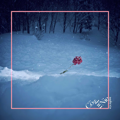 Cover Album Cover