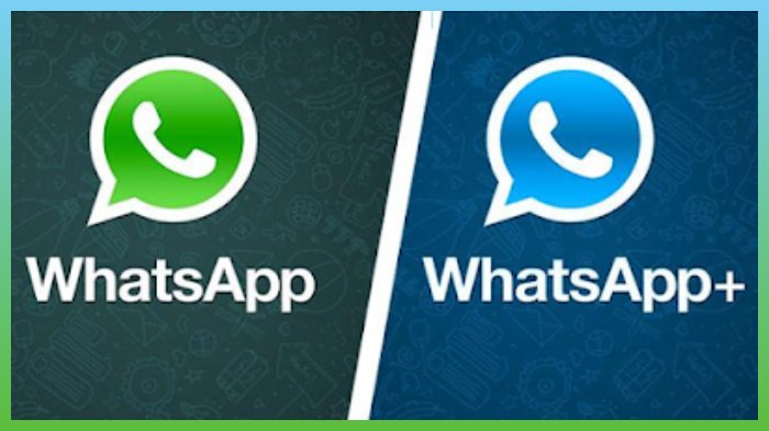 Download Whatsapp Plus Apk Versi Lama Sampai Terbaru 2019 Hipwee