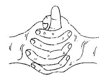 लिंग मुद्रा