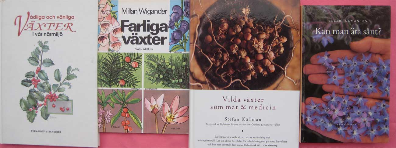 vilda växter som mat & medicin vilda växter som mat & medicin