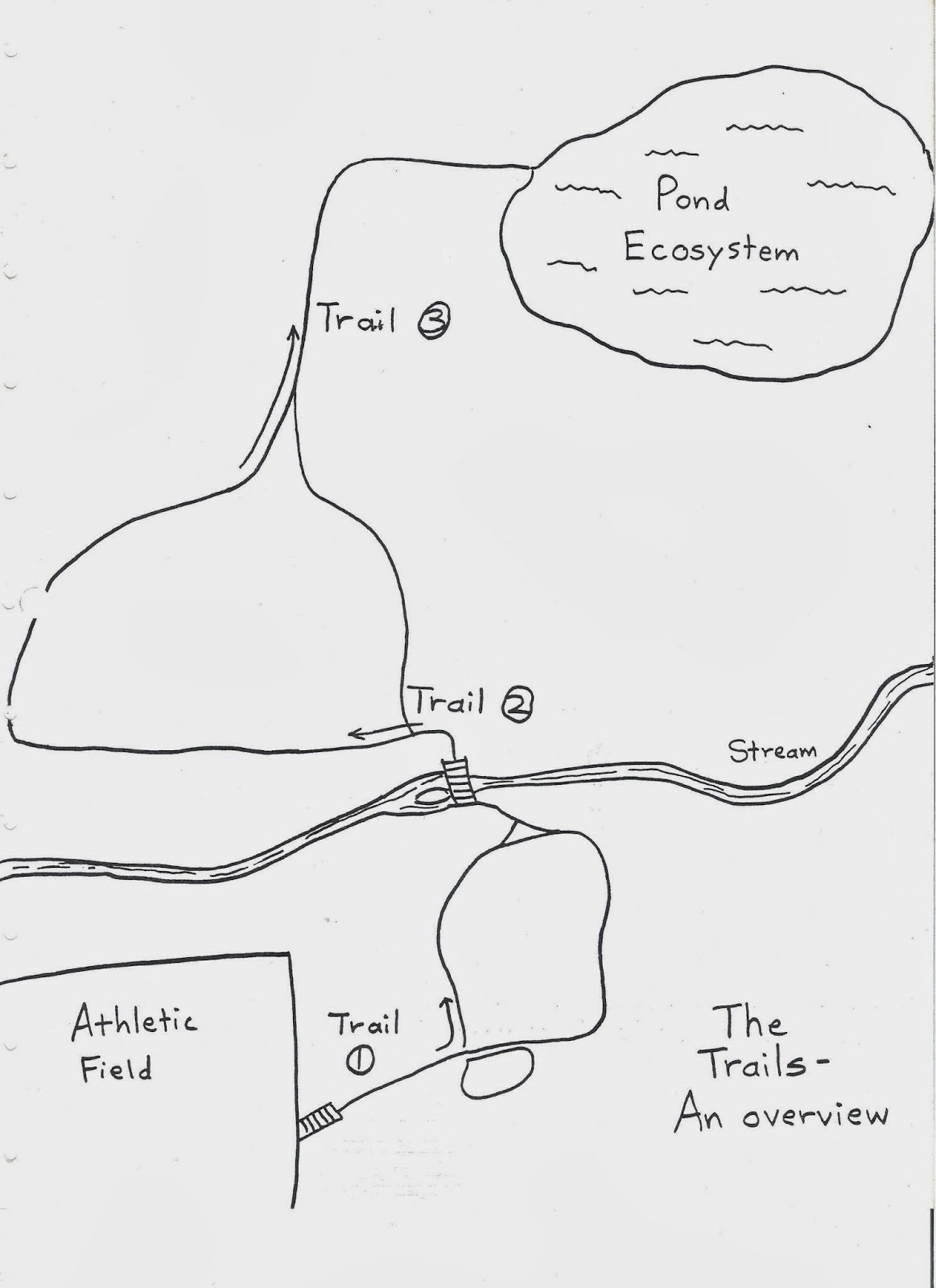 The Sandhills Farm Life Nature Trail The Original 198586 Nature Trail