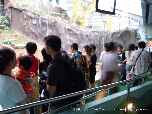 香港賽馬會大熊貓園