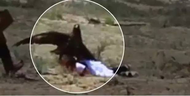 8χρονη δέχτηκε επίθεση από αετό στο Κιργιστάν (βίντεο)