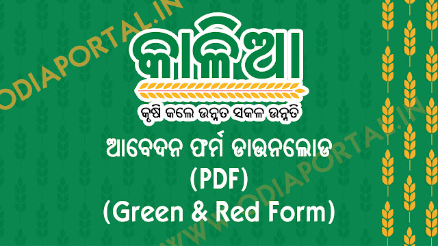 Download Odisha "KALIA" Yojana Apply Form (Green and Red Form PDF), Krushak Assistance for Livelihood and Income Augmentation (KALIA) scheme is one of newest scheme or Yojana by Odisha Government for farmers around the state. Farmers should apply for KALIA scheme as soon as possible to get most from this scheme. The following are two major forms for Apply for KALIA YOJANA. kalia jojana form, application form, green form kalia yojna, kaliya jojana form download pdf