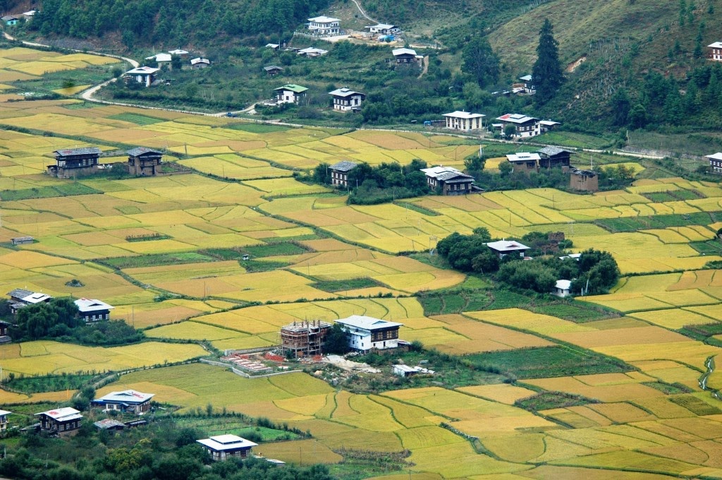 Bhutan: The Last Himalayan Buddhist Kingdom Bhutan-The-Last-Shangrila-In-The-Himalayas