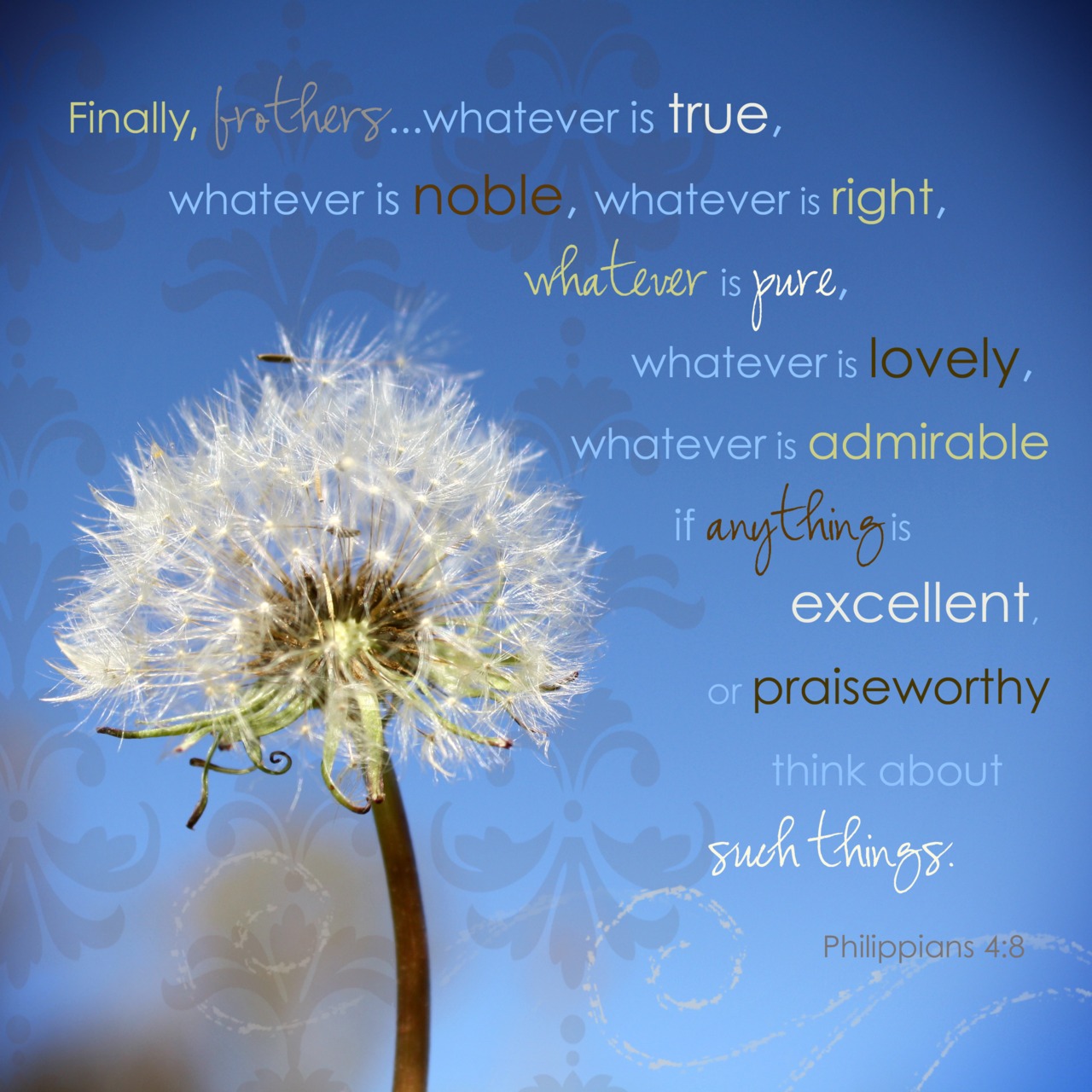 Thoughts From Another Home What Do Your Actions Show A Philippians thoughts-from-another-home-what-do-your-actions-show-a-philippians