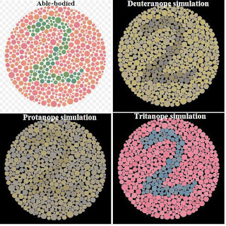 Renk körlüğü tanısında kullanılan ishihara testinde farklı tipte renk körlerinin gördükleri
