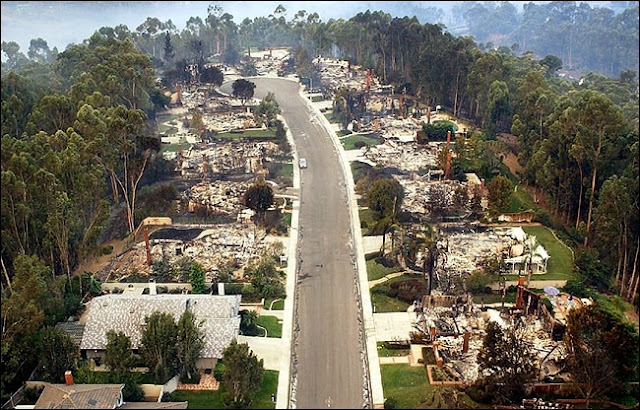 STATE OF THE NATION-geoengineered California firestorms Scripps-Ranch-San-Diego-2003-150-houses-but-eucalyptus-DID-NOT-burn-NY-Times