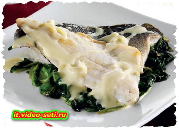 Branzino in crema di champagne Branzino in crema di champagne
