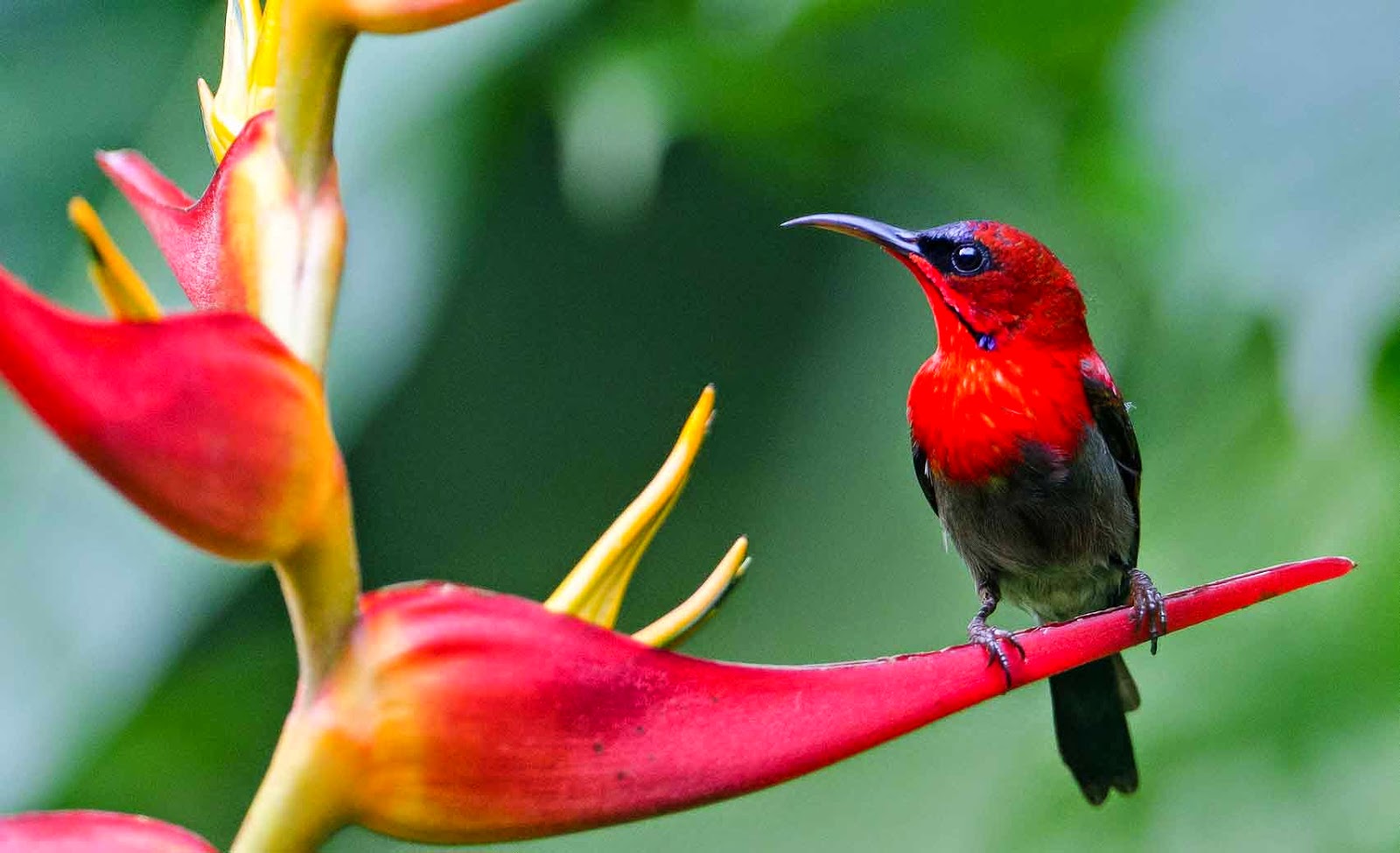 spots for bird photography