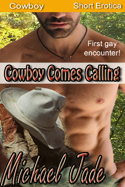 Cowboy Comes Calling