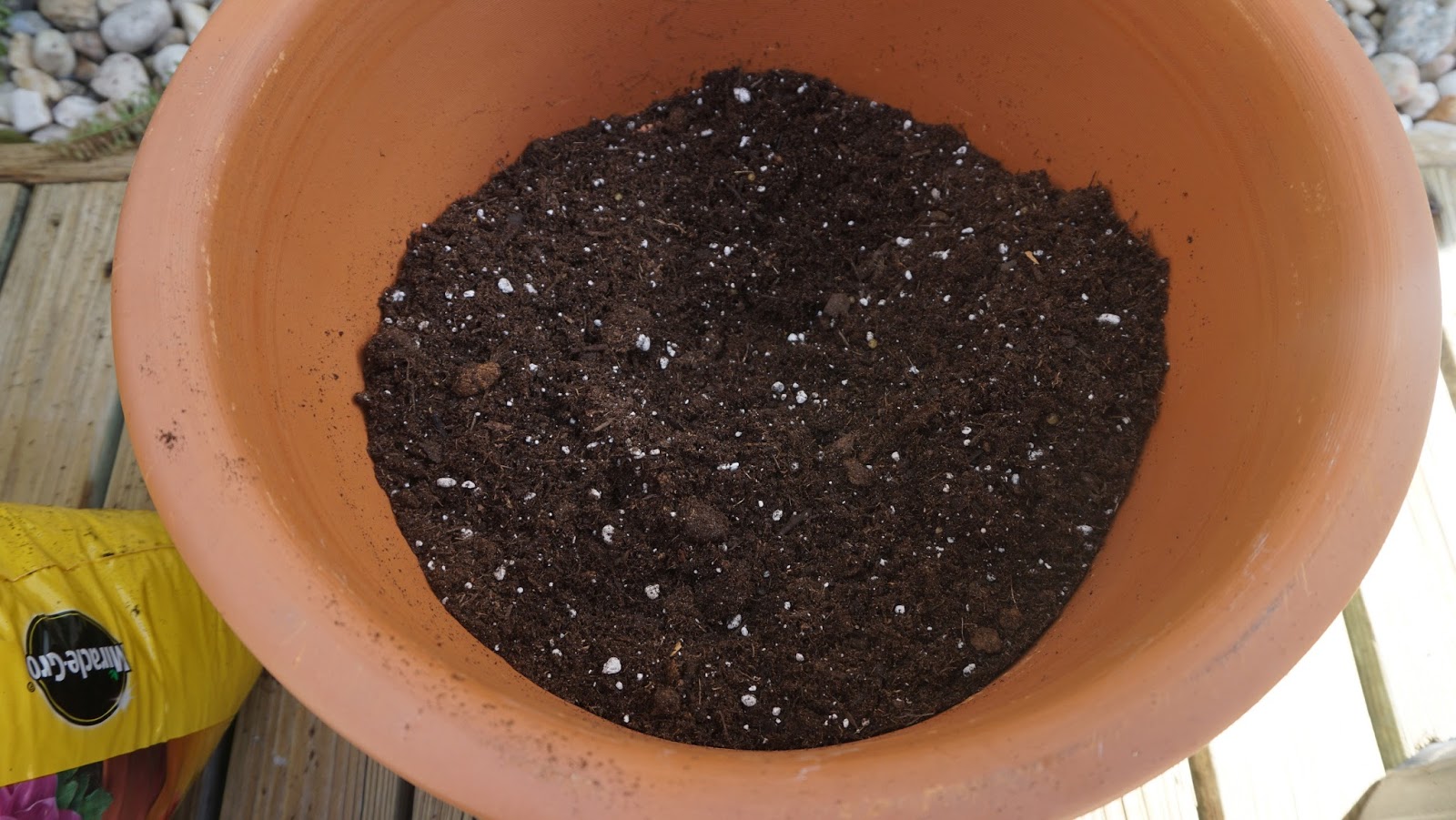 Lorraine Stanick How to Pot A Plant