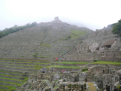 The Guardtower above agricultural terraces, Machu Pichu