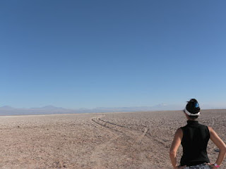 Ojos del Salar Atacama Ojos del Salar