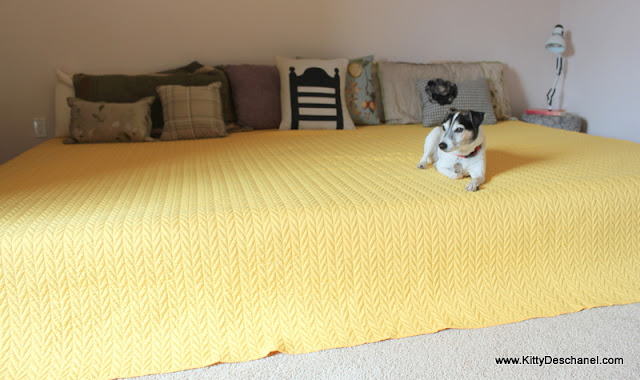 demonstrating the firmness of the mattress