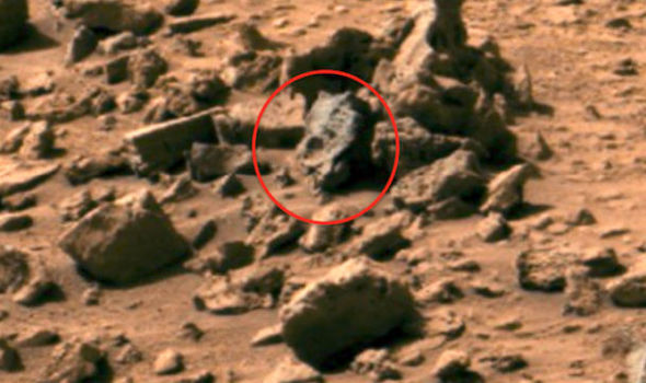 Dinosaur skull has been found on Planet Mars